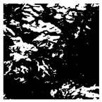 Forests 16 01342 i019 Forests 16 01342 i019