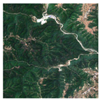 Forests 16 01342 i021 Forests 16 01342 i021