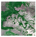 Forests 16 01342 i023 Forests 16 01342 i023