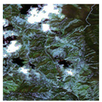 Forests 16 01342 i024 Forests 16 01342 i024