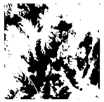 Forests 16 01342 i027 Forests 16 01342 i027