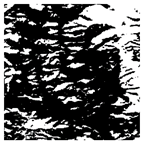 Forests 16 01342 i029 Forests 16 01342 i029