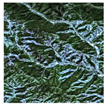 Forests 16 01342 i031 Forests 16 01342 i031