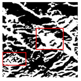 Forests 16 01342 i033 Forests 16 01342 i033