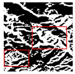 Forests 16 01342 i034 Forests 16 01342 i034