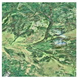 Forests 16 01342 i035 Forests 16 01342 i035