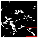 Forests 16 01342 i036 Forests 16 01342 i036