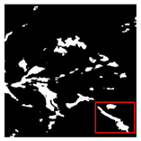 Forests 16 01342 i037 Forests 16 01342 i037