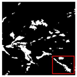 Forests 16 01342 i038 Forests 16 01342 i038