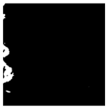 Forests 16 01342 i040 Forests 16 01342 i040