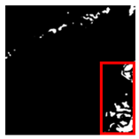 Forests 16 01342 i044 Forests 16 01342 i044