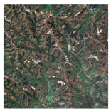 Forests 16 01342 i047 Forests 16 01342 i047