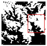 Forests 16 01342 i049 Forests 16 01342 i049