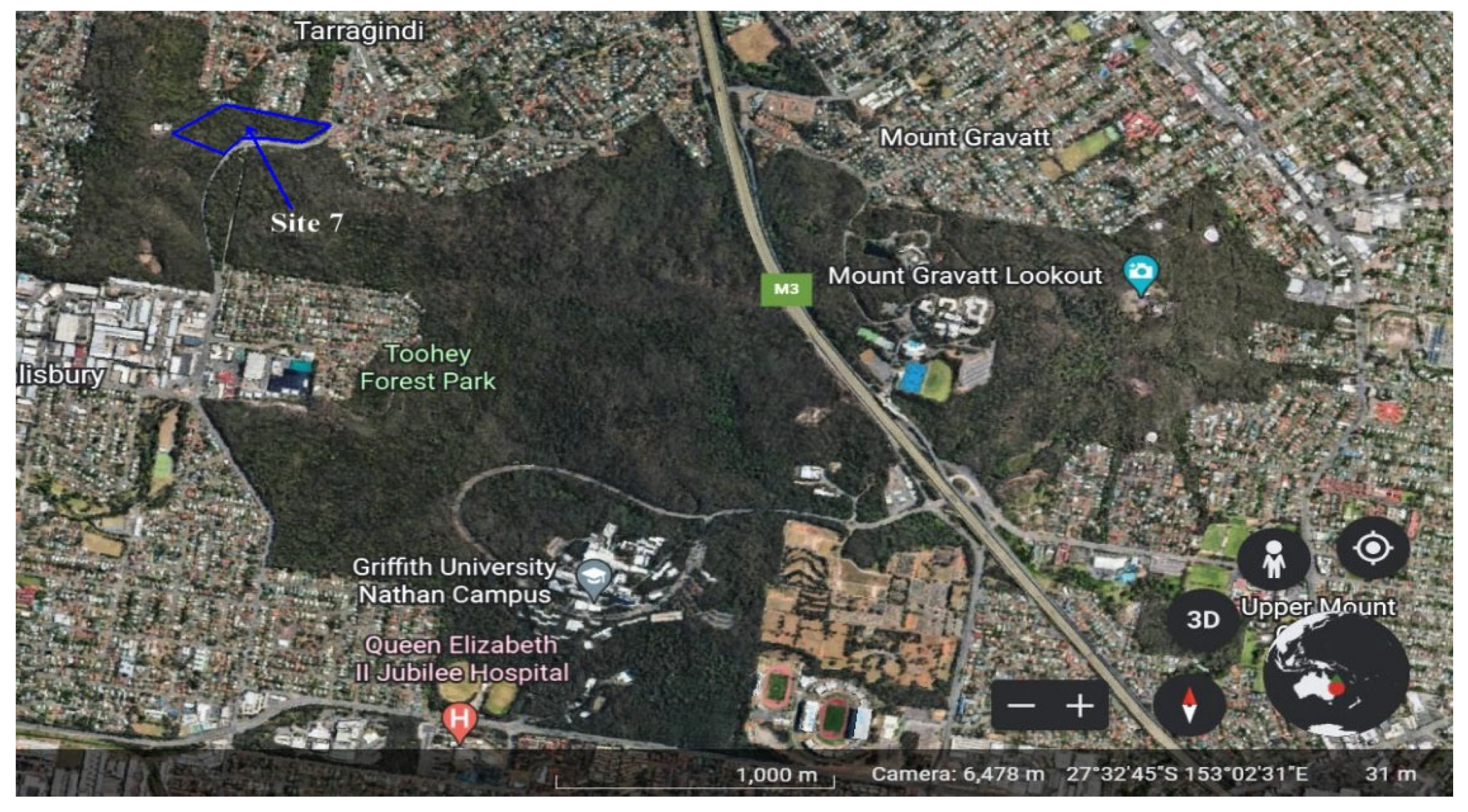 Forests 16 01350 g001 Forests 16 01350 g001