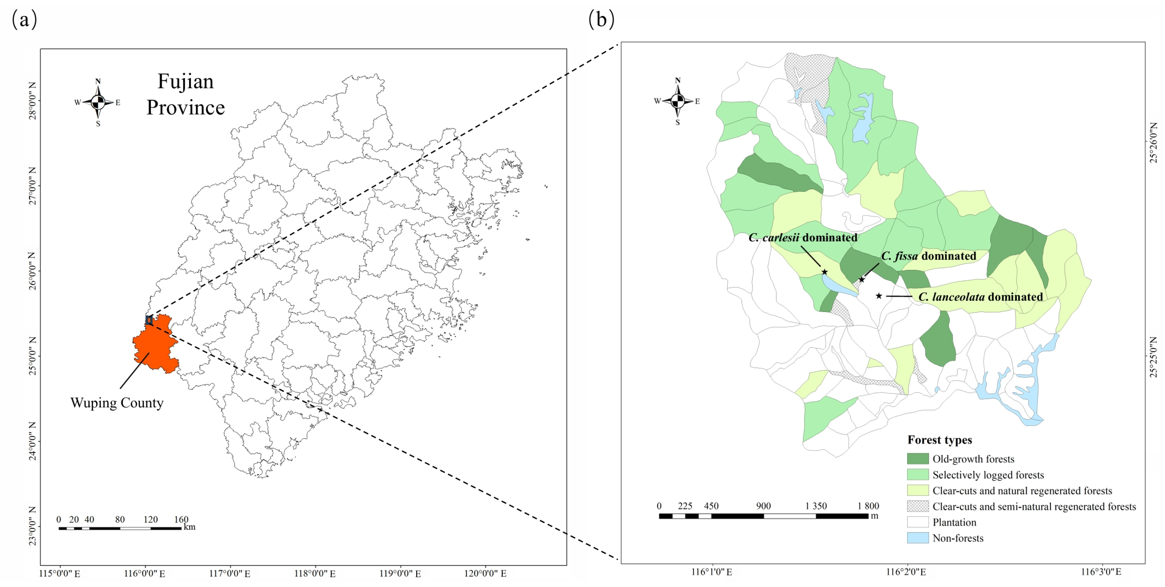 Forests 16 01357 g001 Forests 16 01357 g001