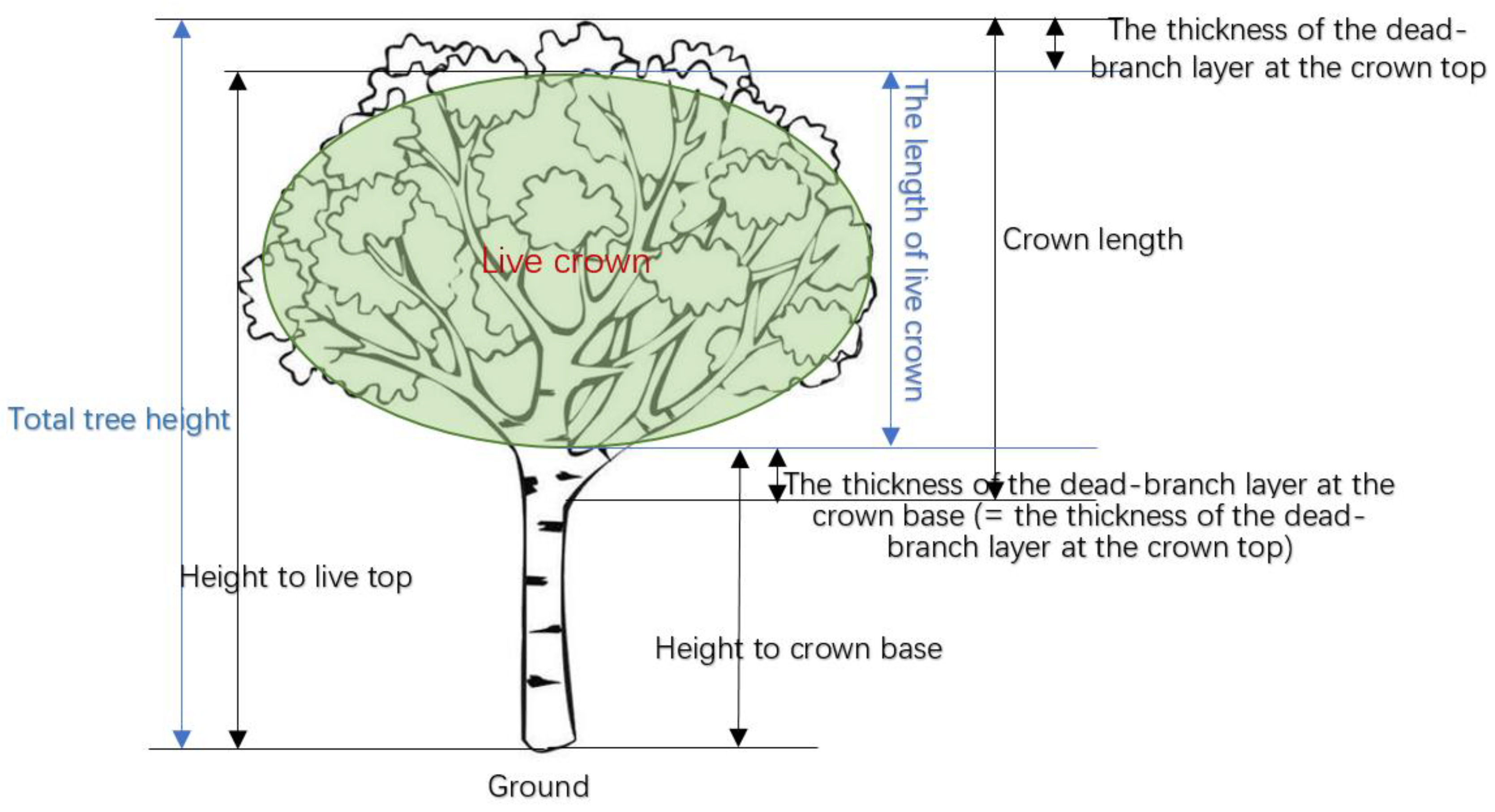 Forests 16 01363 g002