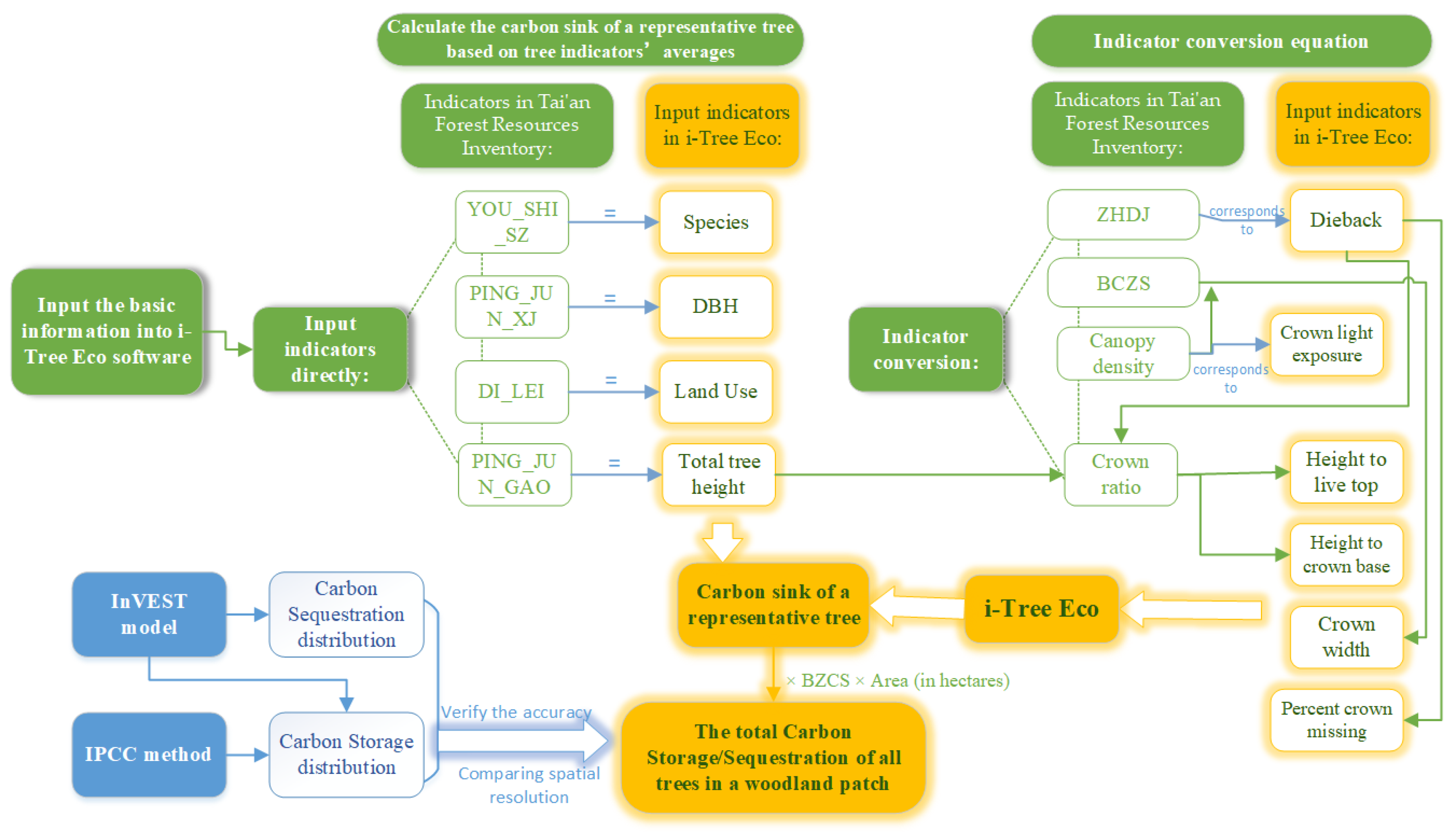 Forests 16 01363 g003