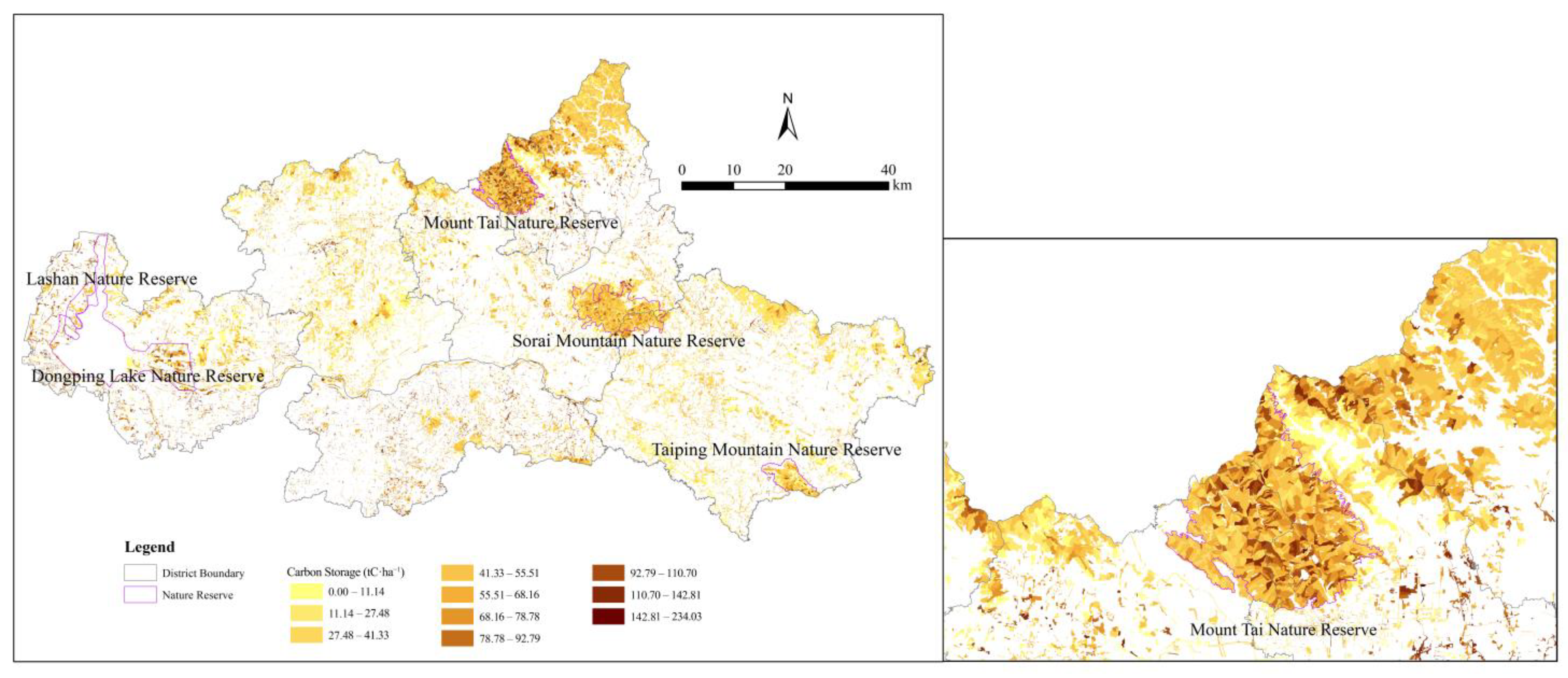 Forests 16 01363 g006
