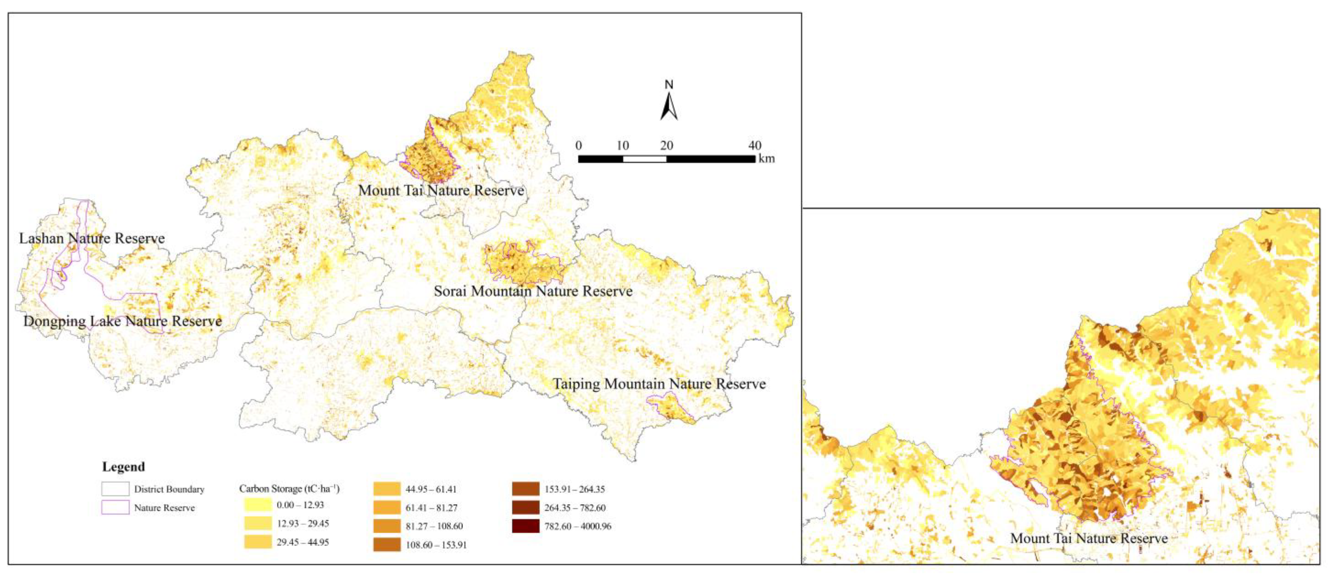 Forests 16 01363 g007