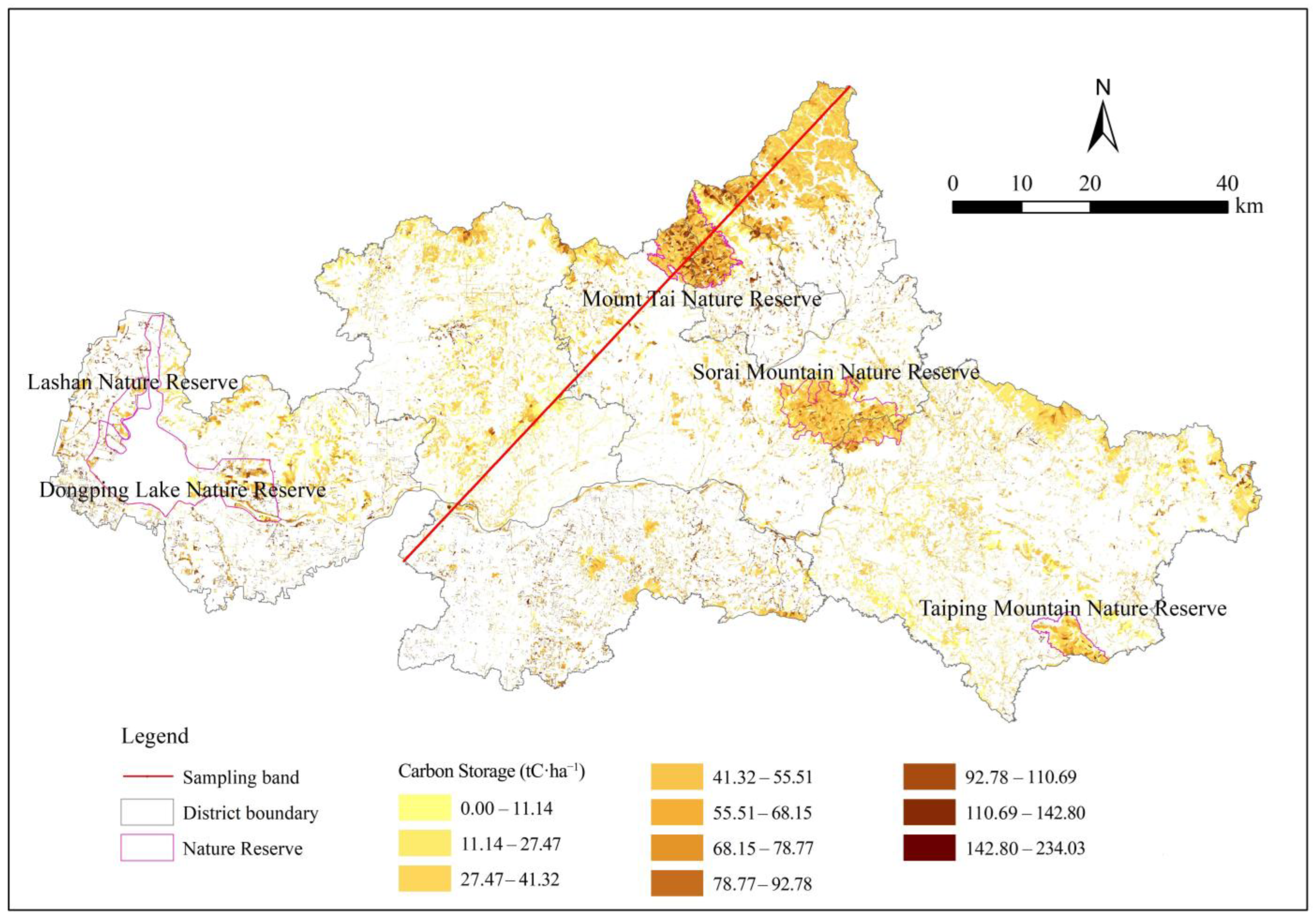 Forests 16 01363 g011