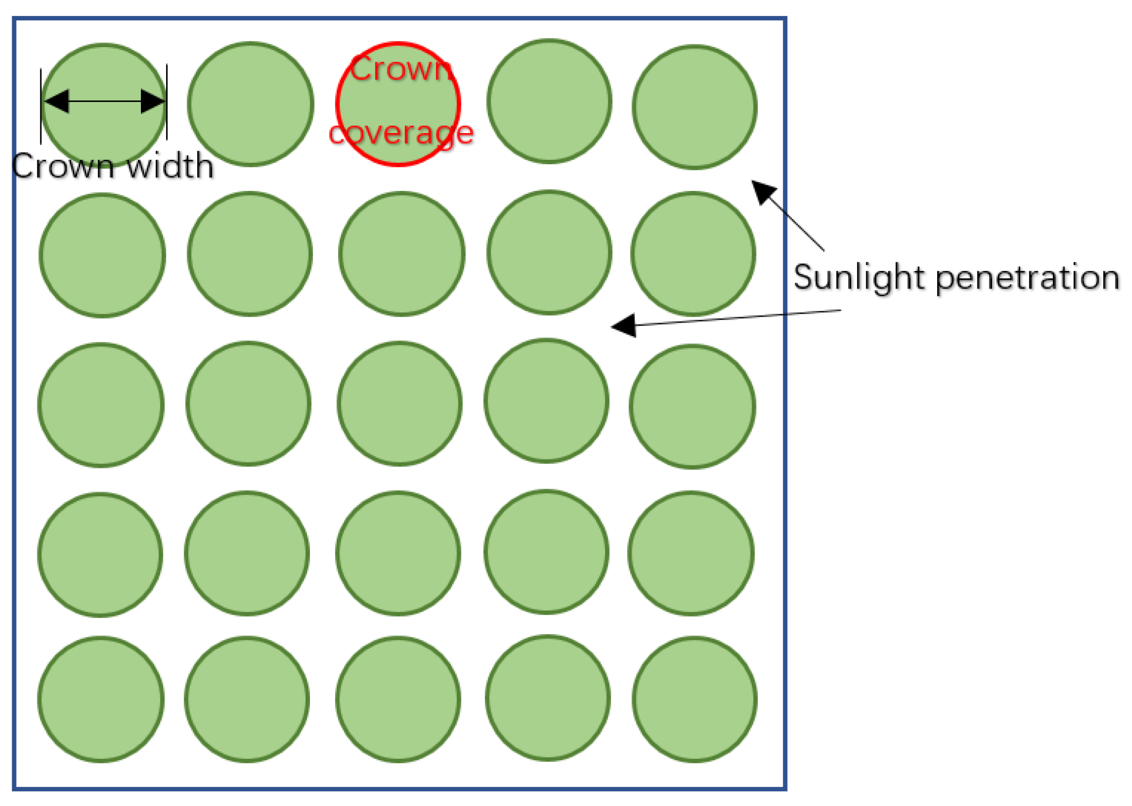 Forests 16 01363 g0a1