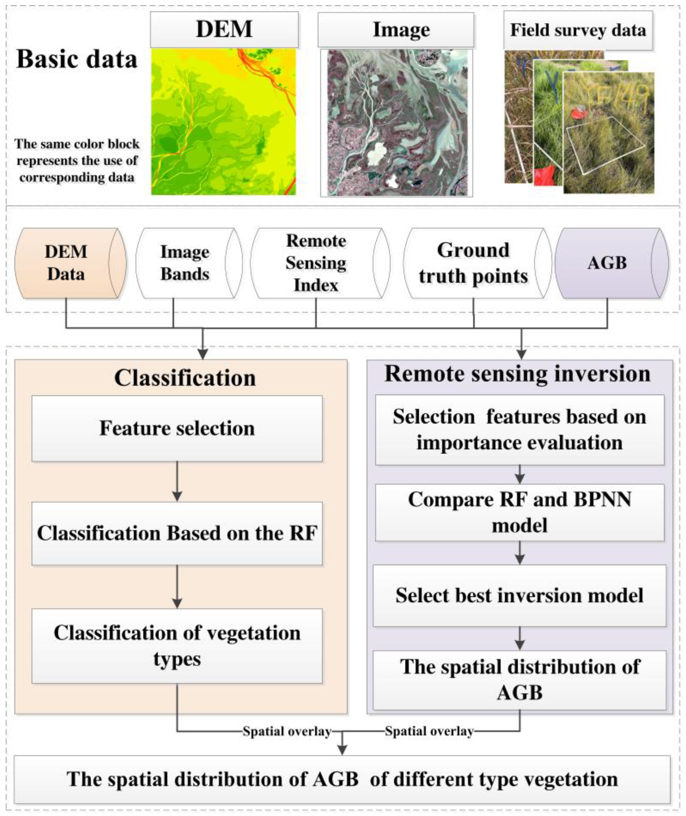 Forests 16 01376 g003 Forests 16 01376 g003