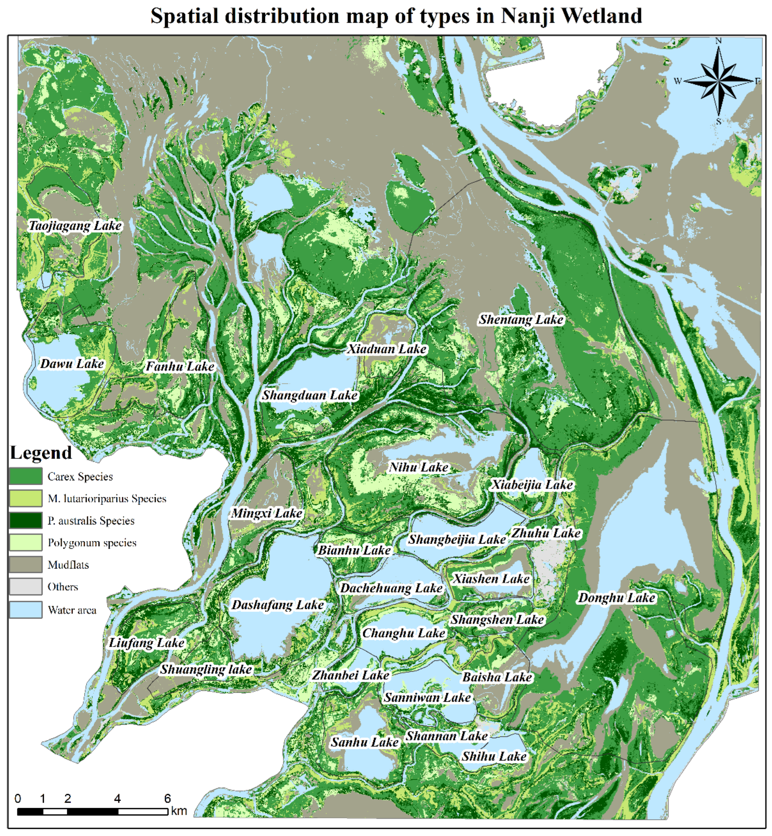 Forests 16 01376 g006 Forests 16 01376 g006