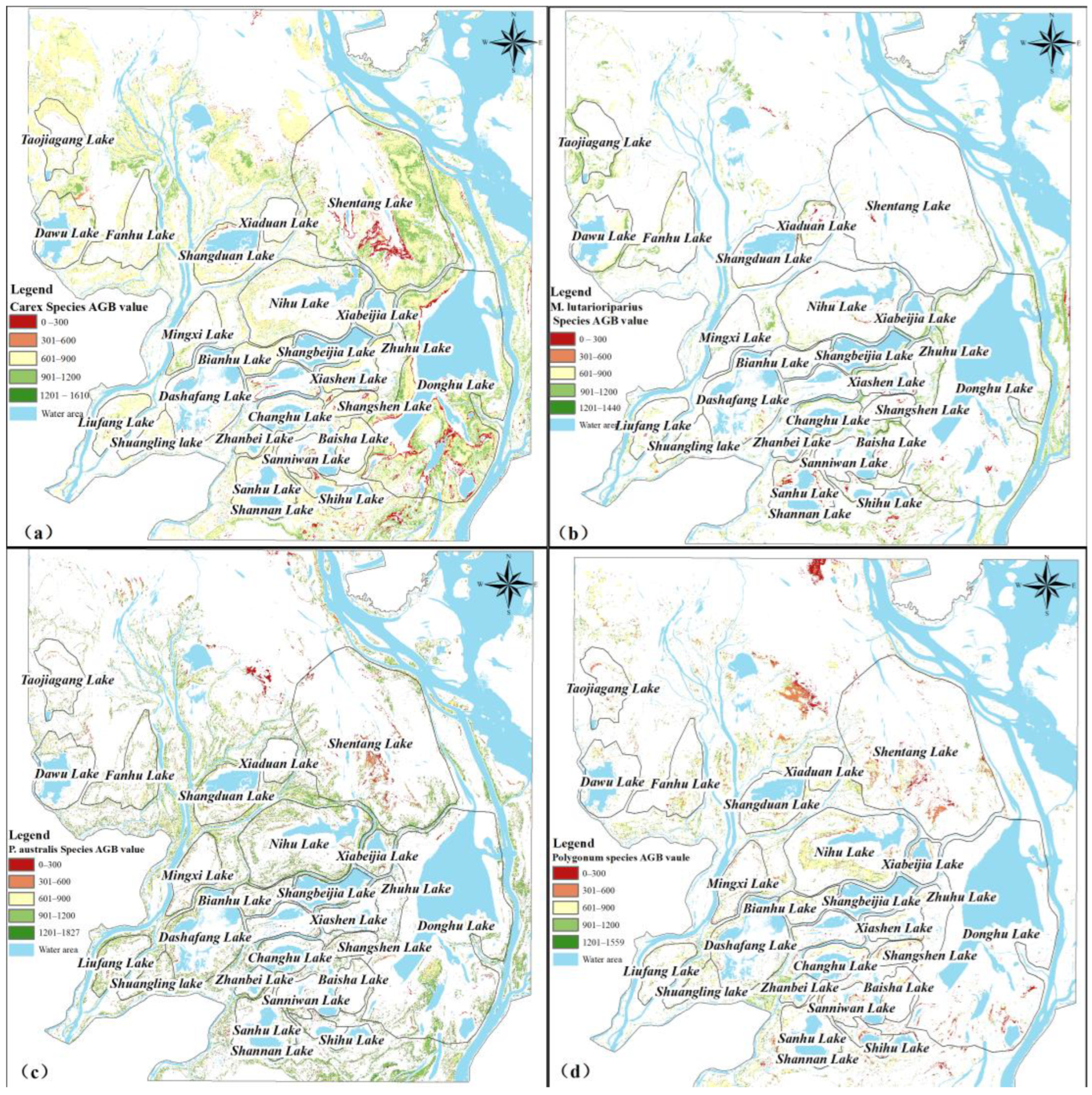 Forests 16 01376 g010 Forests 16 01376 g010