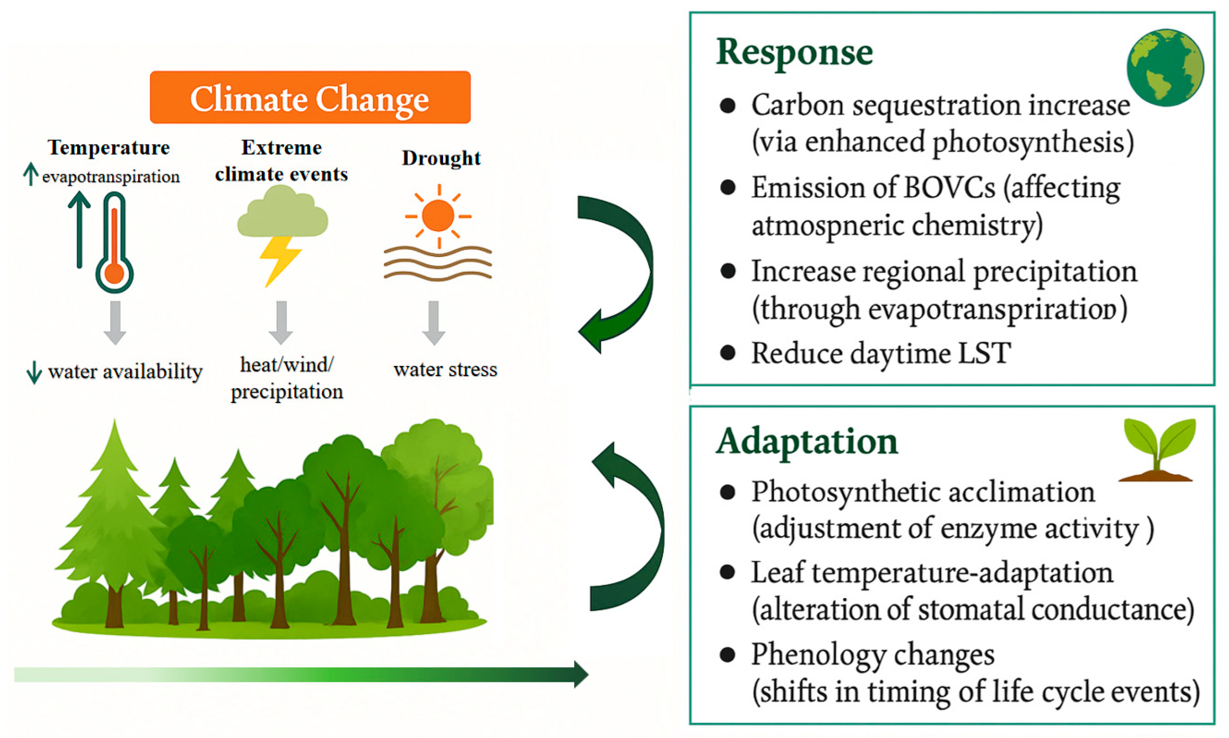 Forests 16 01377 g002 Forests 16 01377 g002