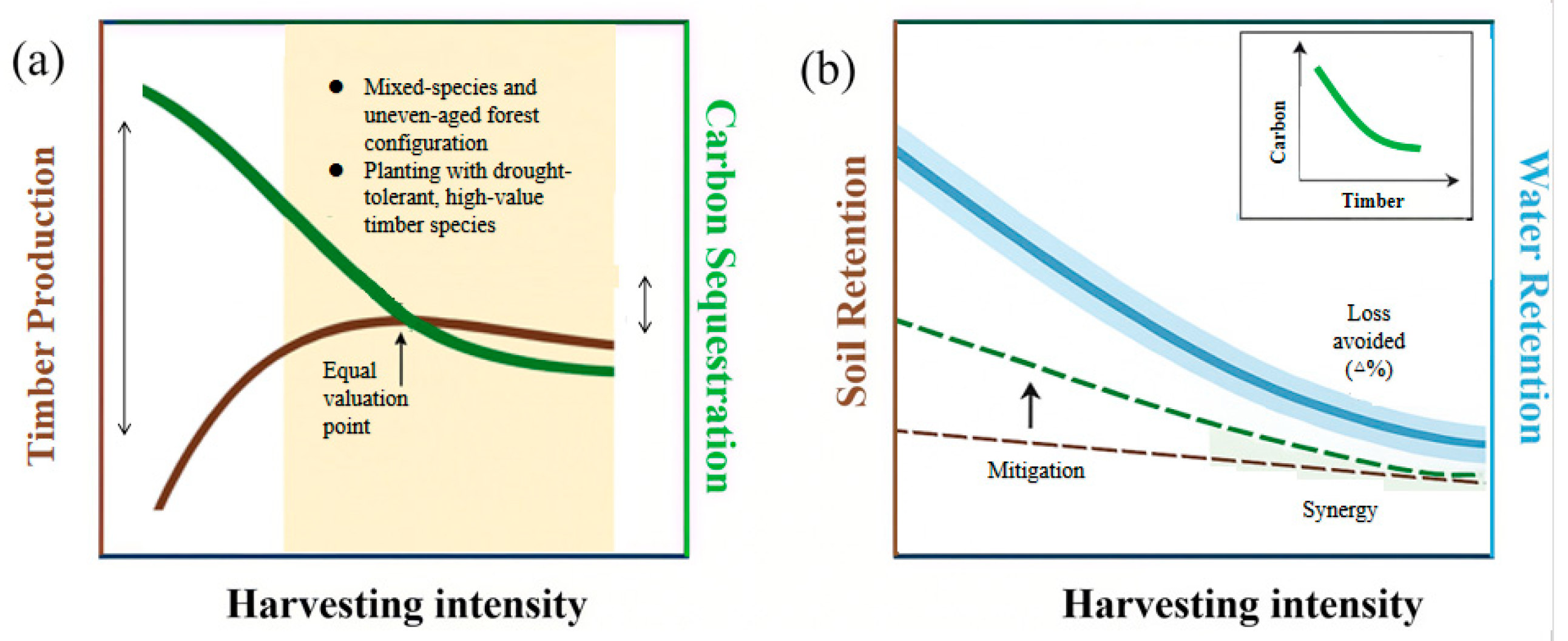 Forests 16 01377 g003 Forests 16 01377 g003