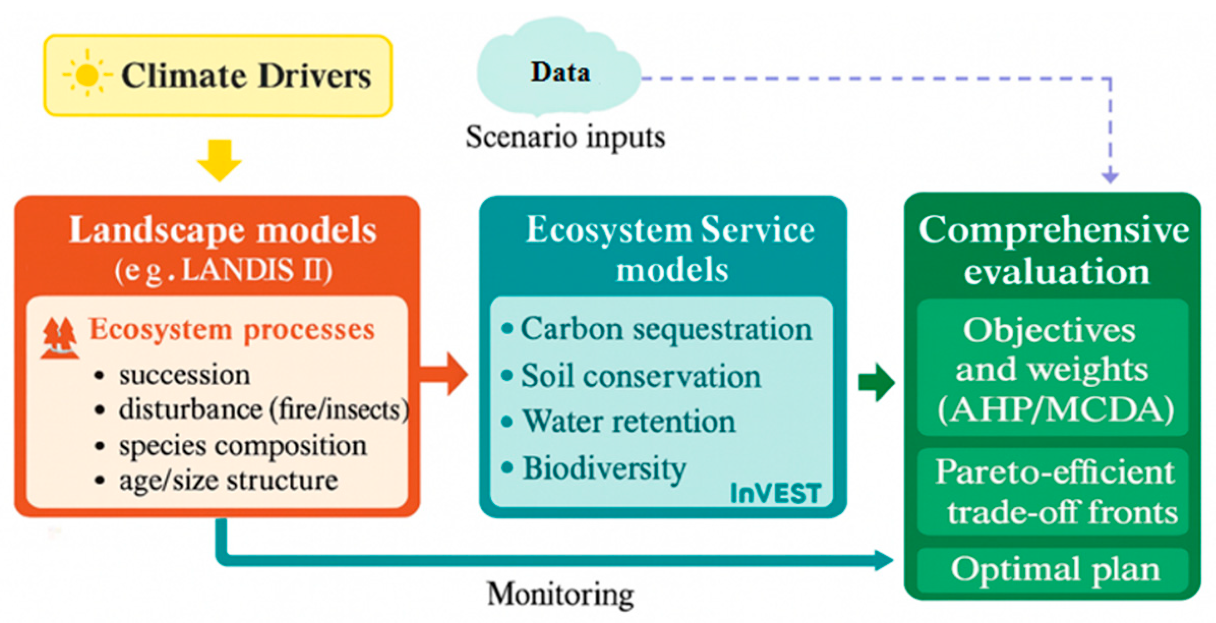 Forests 16 01377 g004 Forests 16 01377 g004