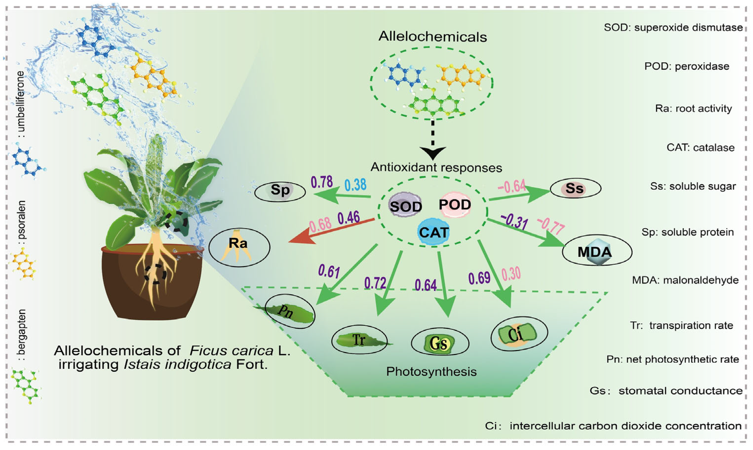 Forests 16 01380 g006 Forests 16 01380 g006