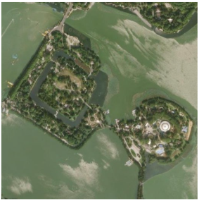 Forests 16 01381 i001 Forests 16 01381 i001