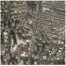 Forests 16 01381 i003 Forests 16 01381 i003