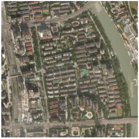 Forests 16 01381 i005 Forests 16 01381 i005