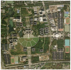 Forests 16 01381 i007 Forests 16 01381 i007