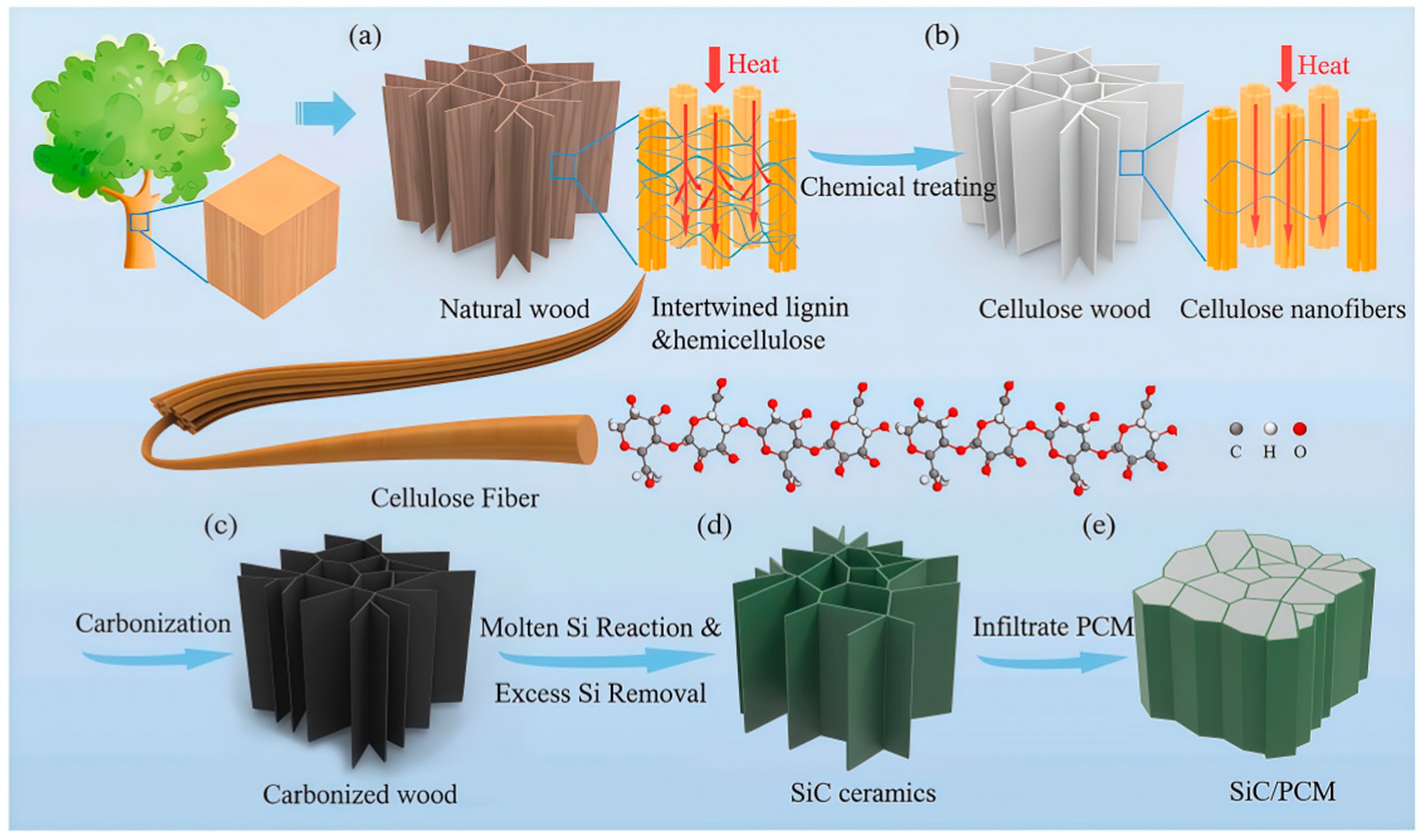 Forests 16 01383 g002 Forests 16 01383 g002