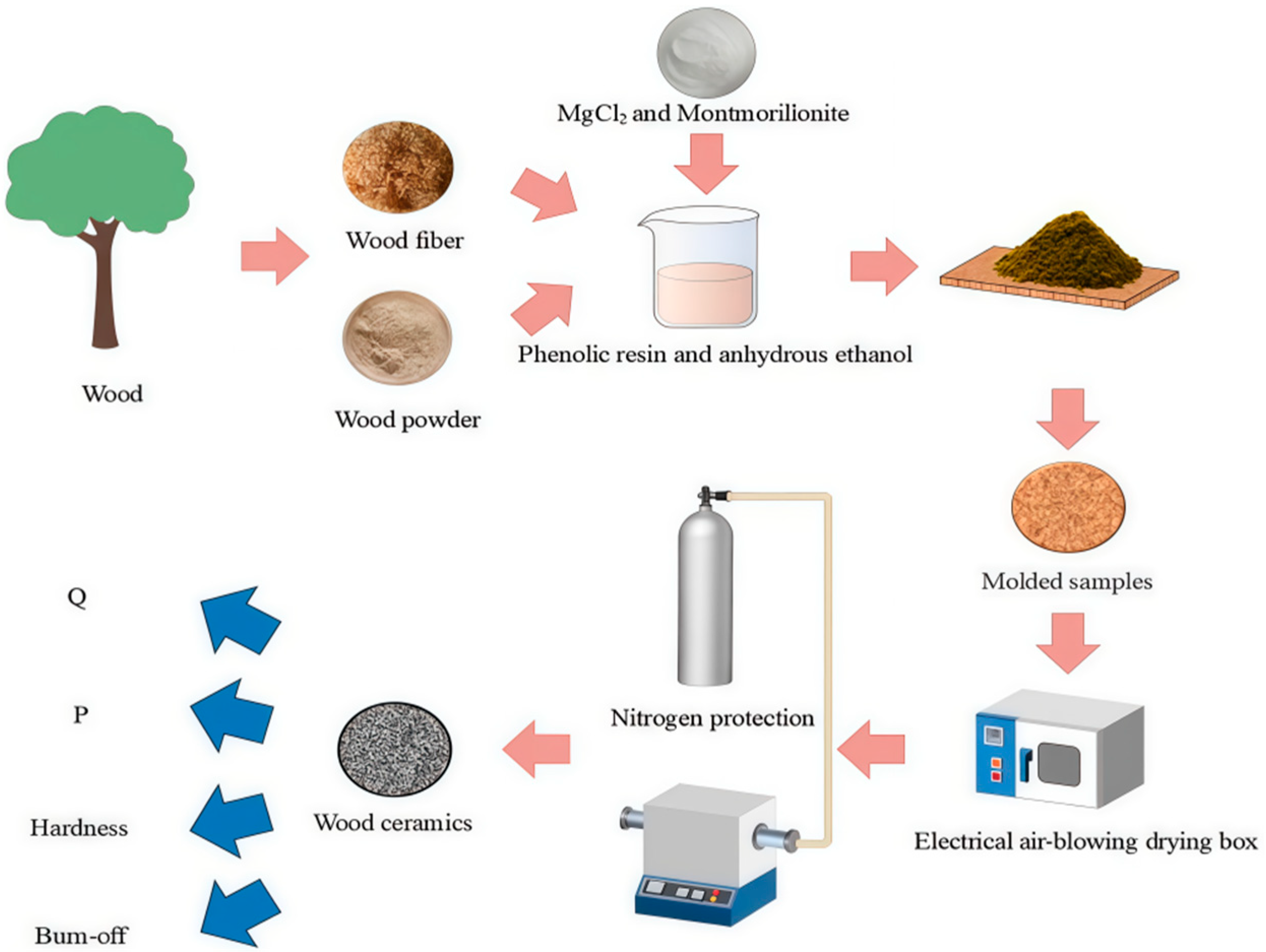 Forests 16 01383 g003 Forests 16 01383 g003