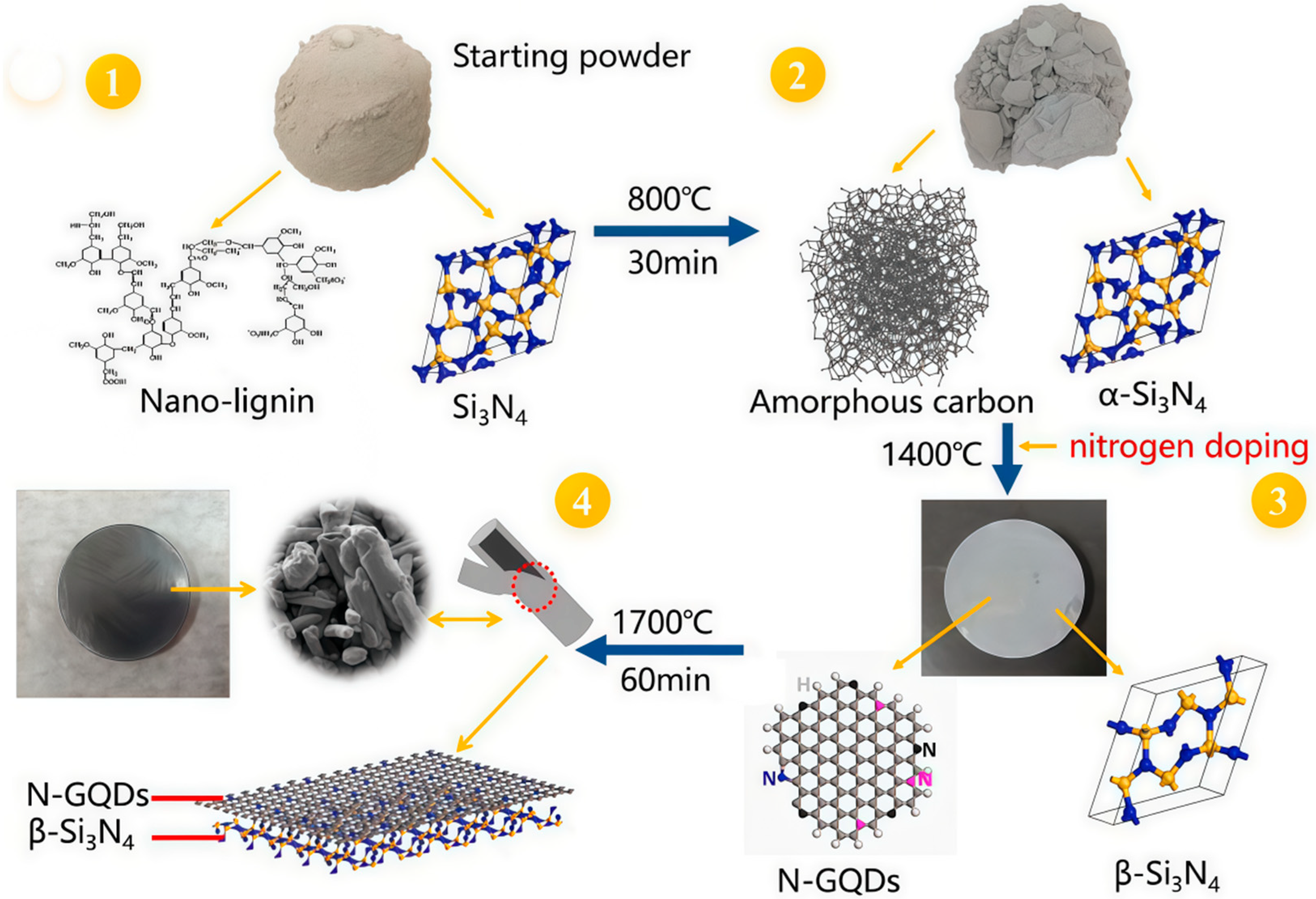 Forests 16 01383 g004 Forests 16 01383 g004