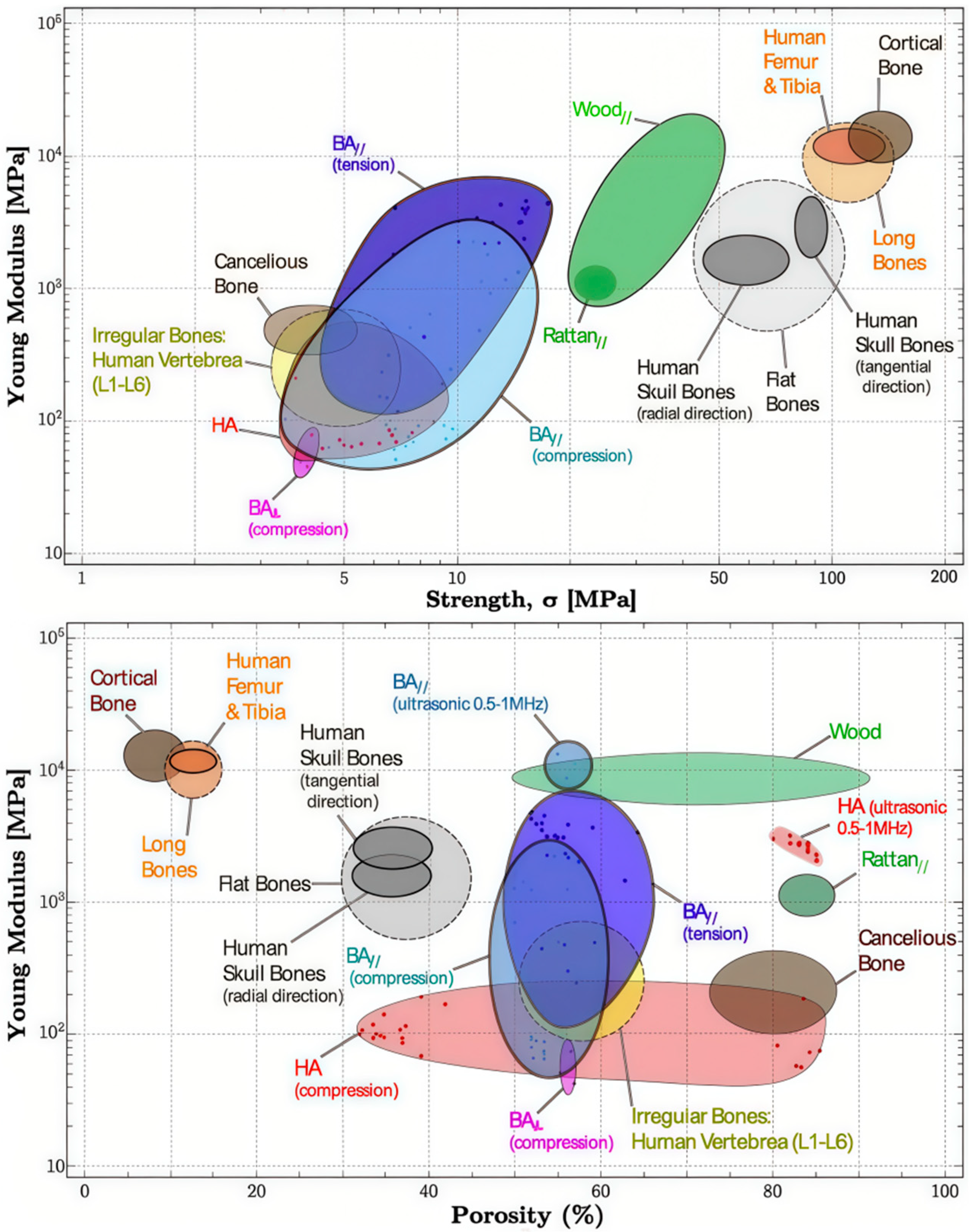 Forests 16 01383 g005 Forests 16 01383 g005