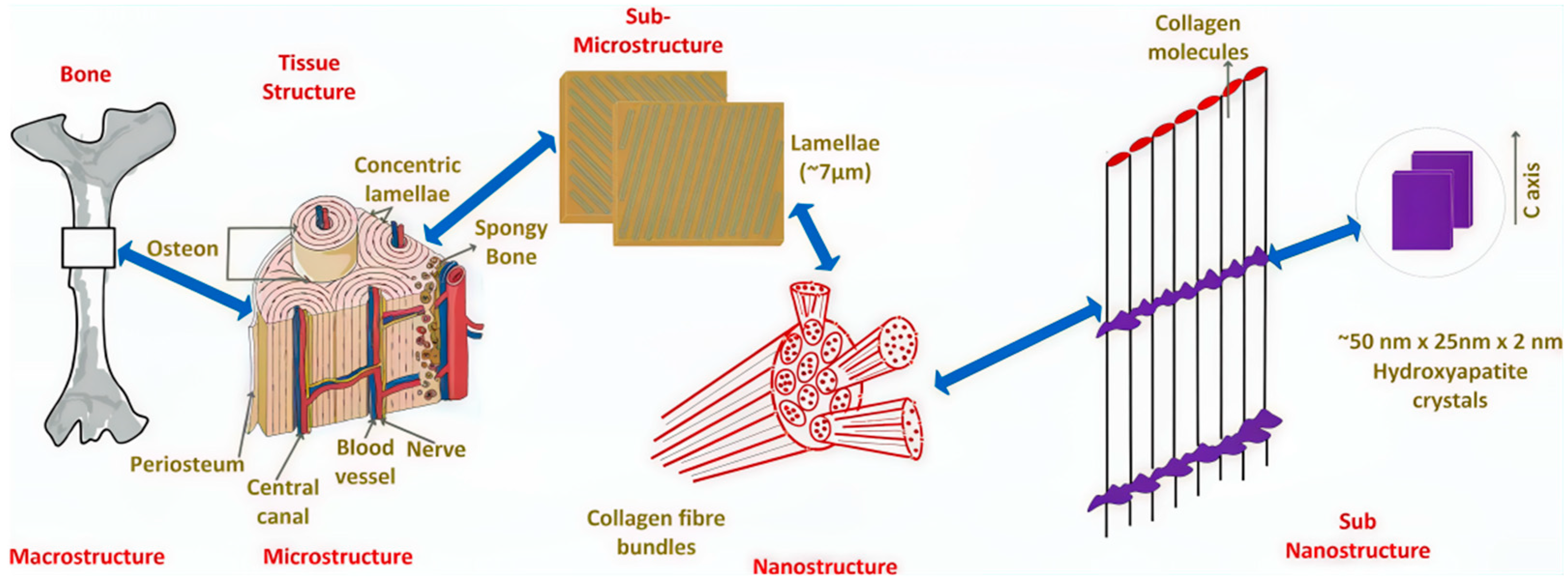 Forests 16 01383 g006 Forests 16 01383 g006