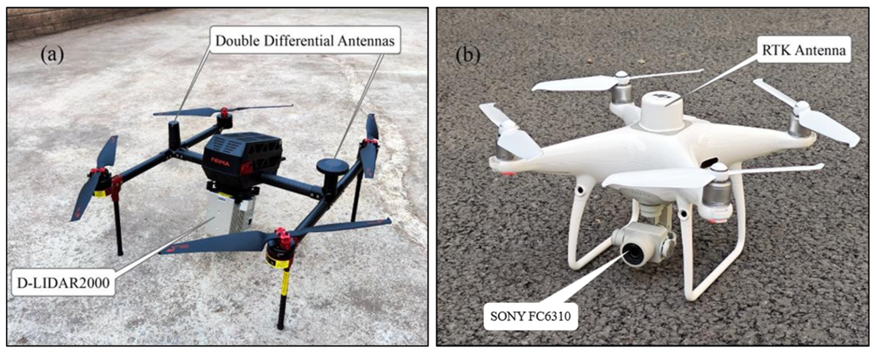 Forests 16 01384 g002 Forests 16 01384 g002