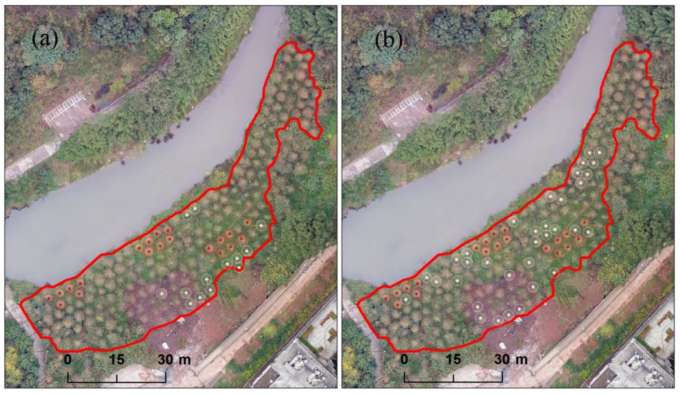 Forests 16 01384 g004 Forests 16 01384 g004