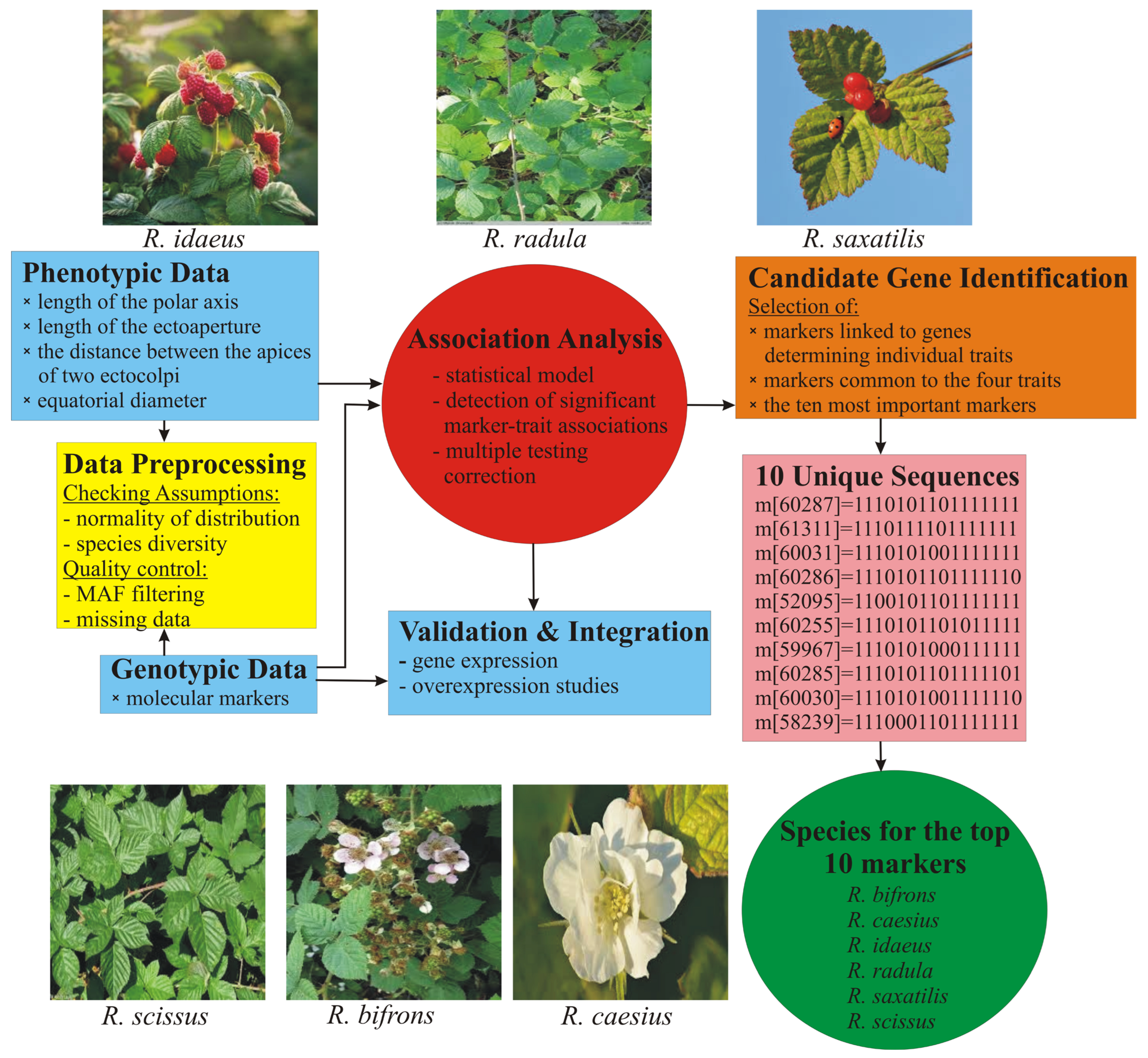 Forests 16 01395 g005 Forests 16 01395 g005