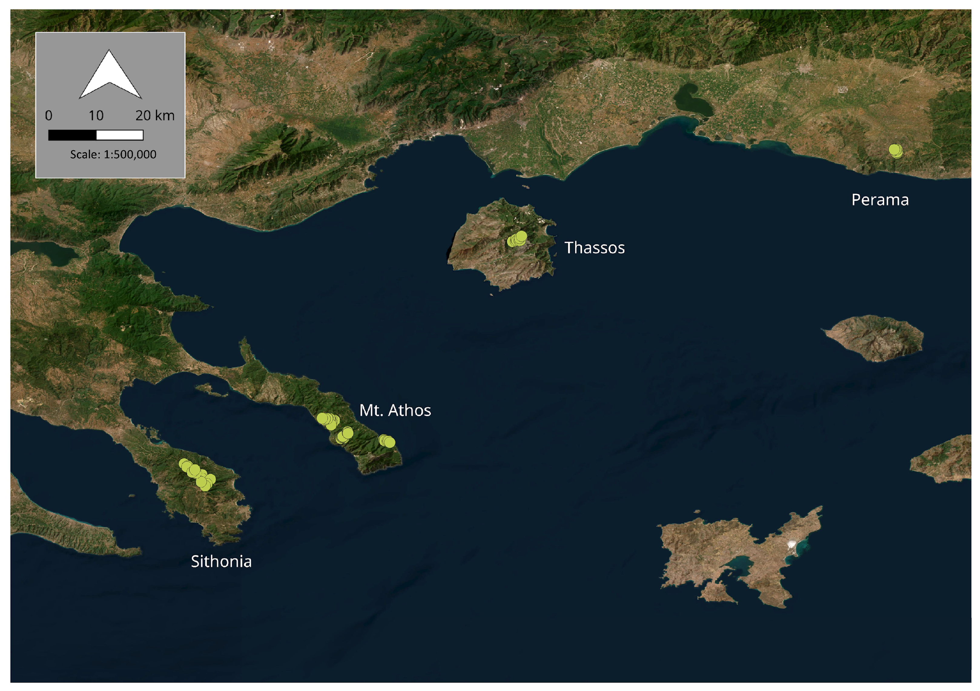 Forests 16 01399 g001 Forests 16 01399 g001