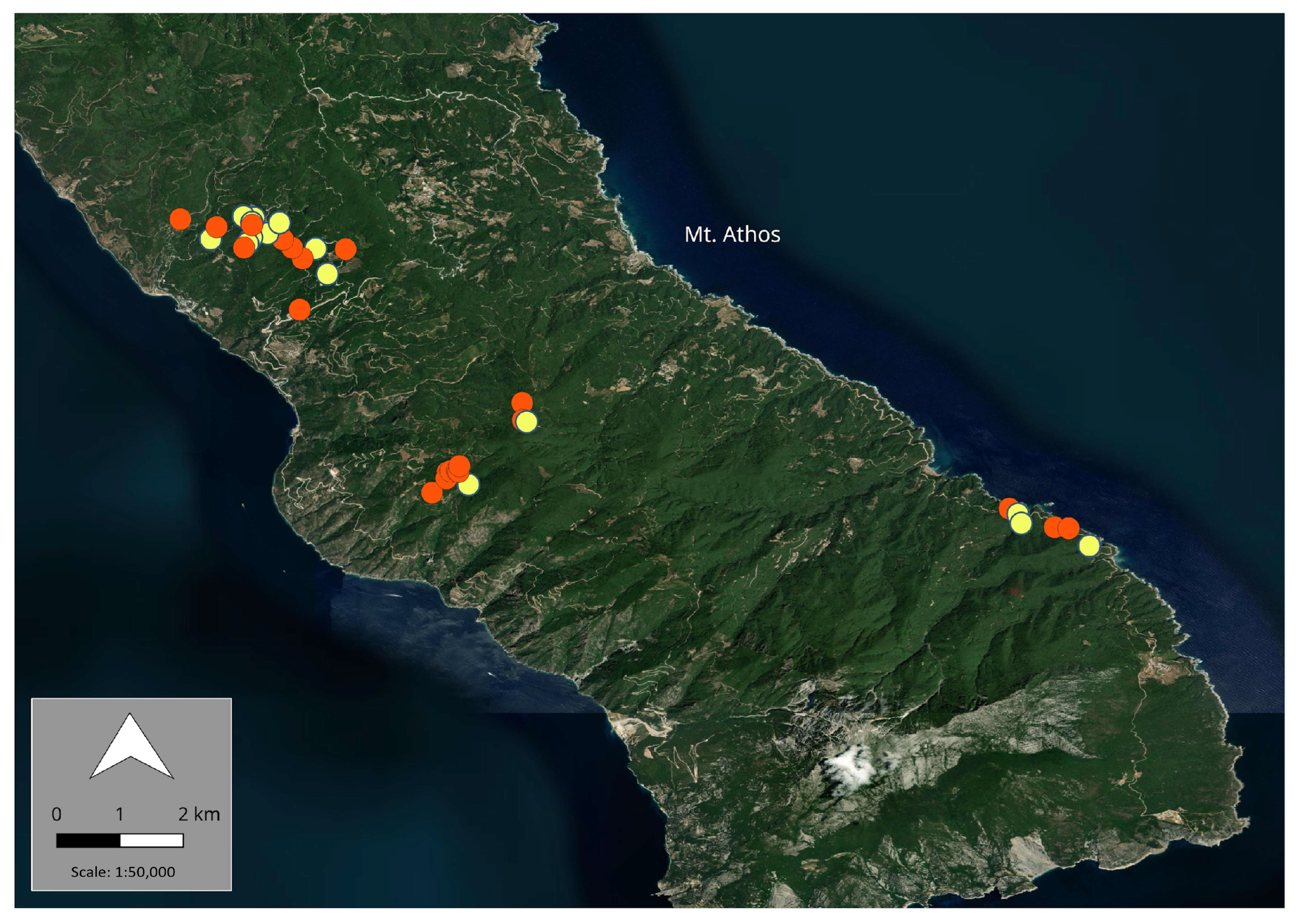Forests 16 01399 g008 Forests 16 01399 g008