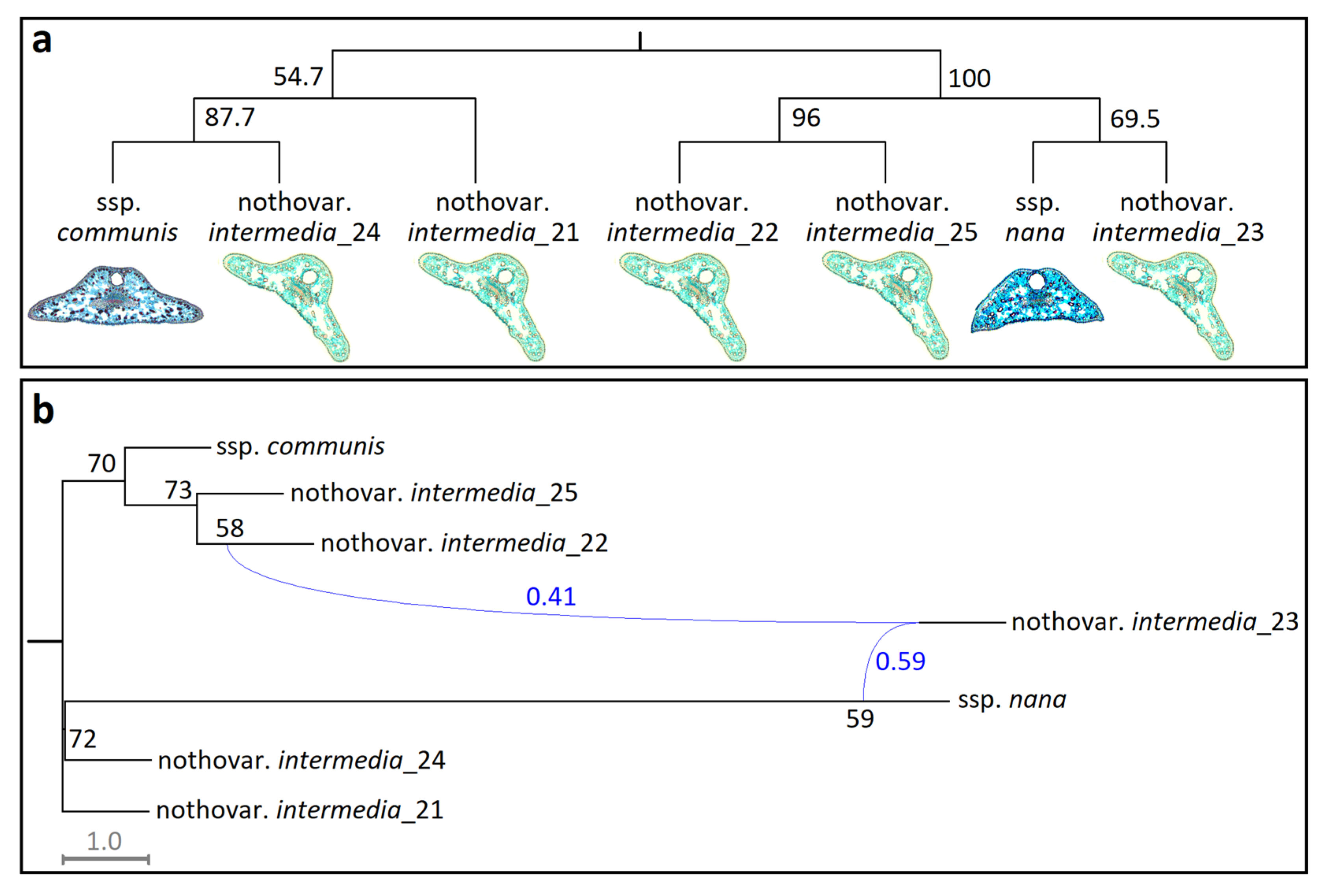 Forests 16 01406 g005