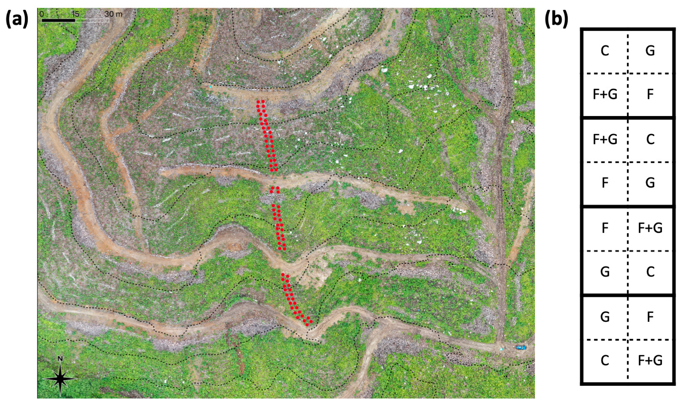 Forests 16 01407 g001 Forests 16 01407 g001