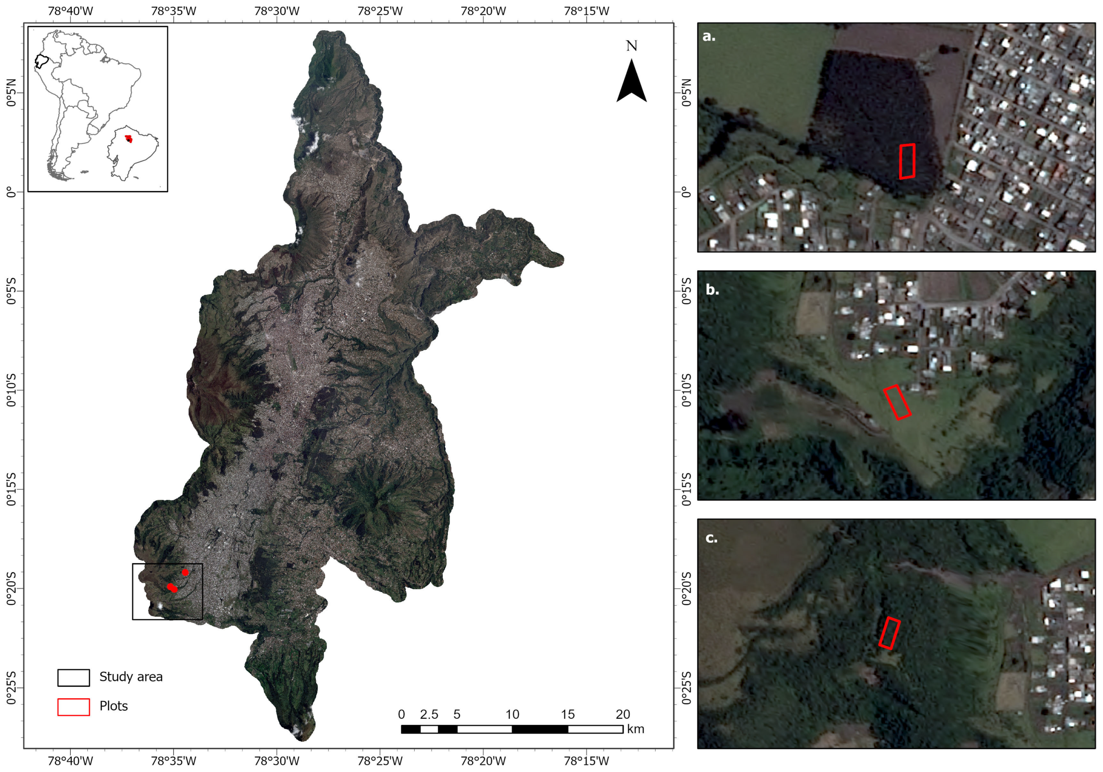 Forests 16 01409 g001 Forests 16 01409 g001