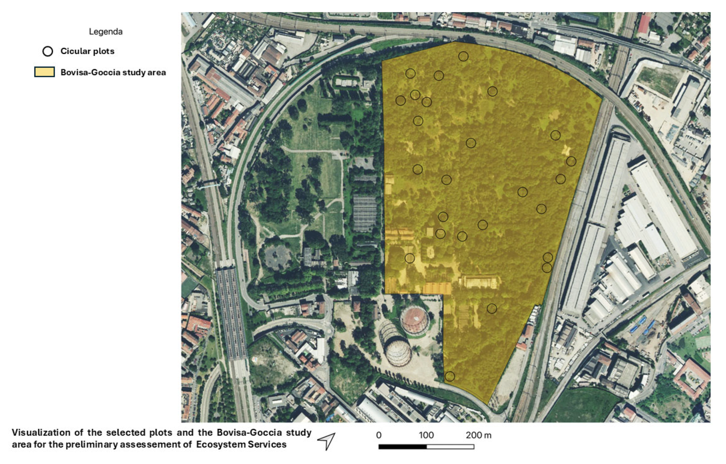 Forests 16 01410 g003